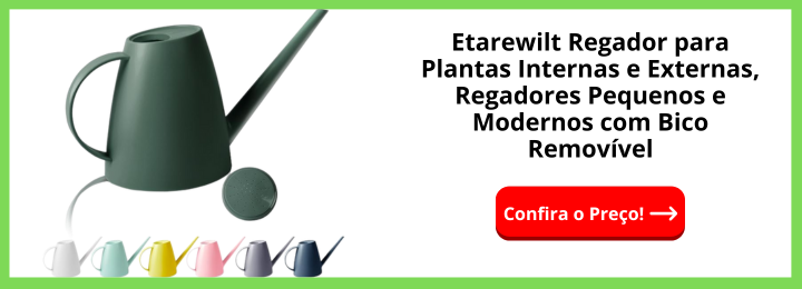 Etarewilt Regador para Plantas Internas e Externas, Regadores Pequenos e Modernos com Bico Removível